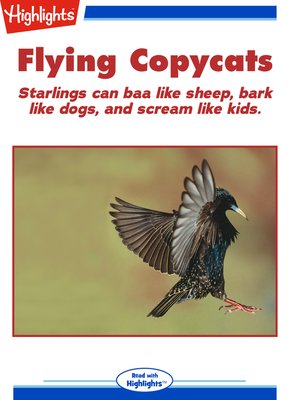 cover image of Flying Copycats